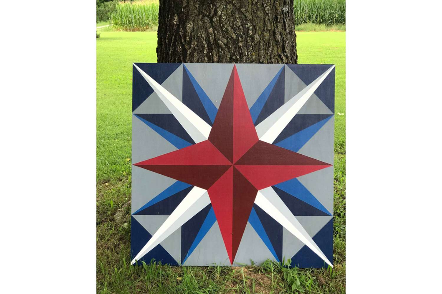 a marine compass pattern barn quilt resting against a tree.