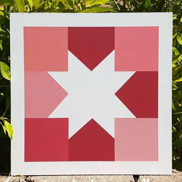 a barn quilt with the white star pattern placed on the wall, before bush.